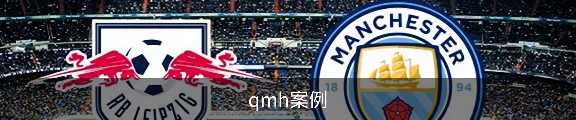 qmh案例